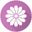 logo of Flower shop and delivery to Philadelphia and Jenkintown PA. Wedding –  floristelle