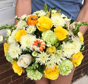 Send this bright arrangement to wish someone a happy autumn or joyous Thanksgiving. The warm color palette and luxury velvet box make a stylish seasonal statement.  Includes:  White chrysanthemums, lime carnations, yellow and white roses, yellow snap dragons. Artificial pumpkins. Velvet box Free message card