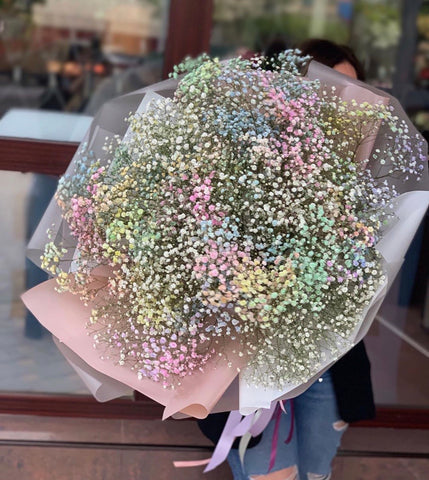 Rainbow baby’s breath cloud