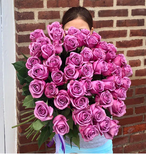 50 premium lavender roses